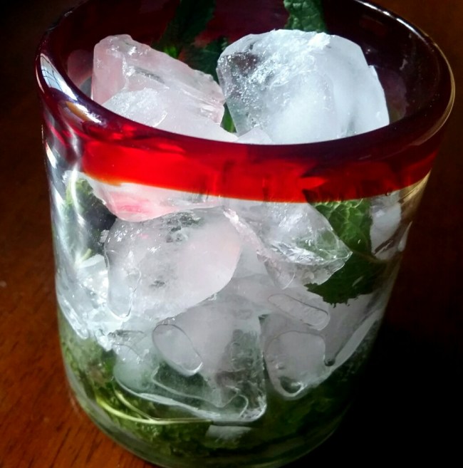 2016-05-08 17.17.30_resized