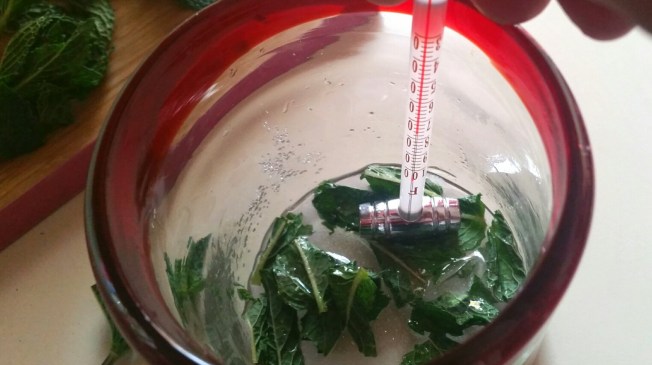 2016-05-08 17.19.23_resized