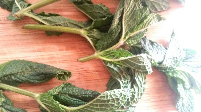 2016-05-08 17.21.50_resized