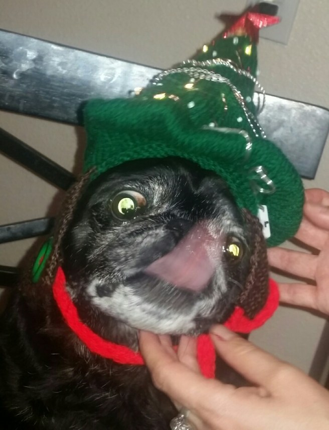 2016-12-18-17-17-46_resized