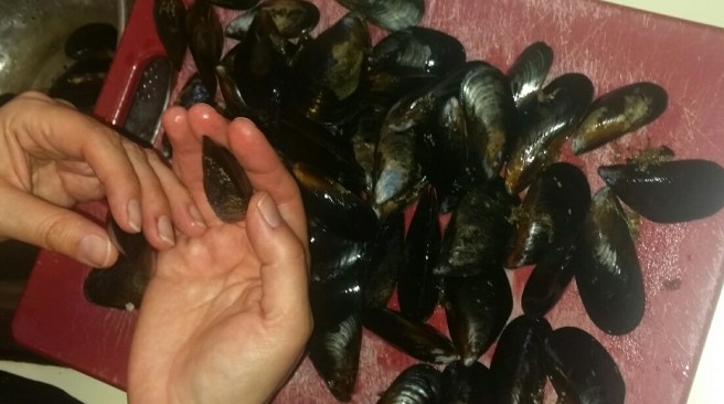 2017-01-16-08-40-17_resized