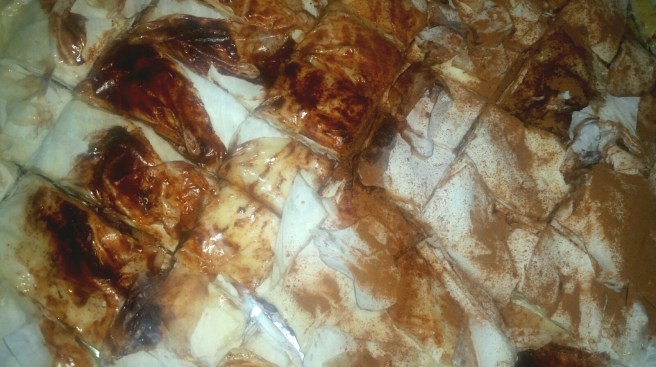 2017-01-22-17-39-29_resized