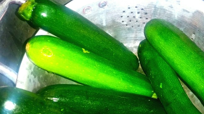 2017-02-26-14-31-34_resized