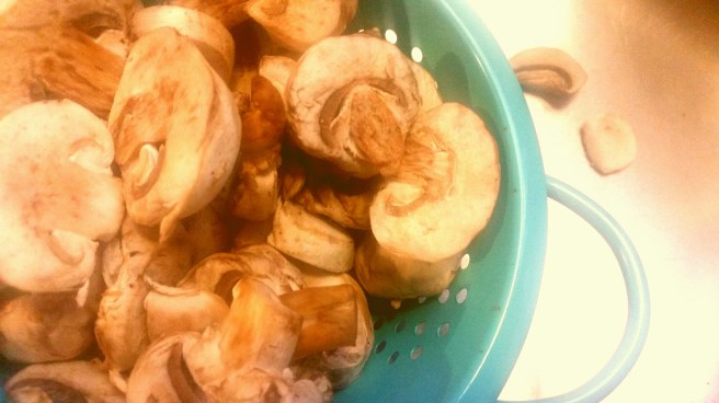 2017-03-19 20.33.36_resized