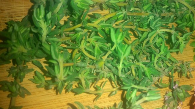 2017-03-20 06.09.53_resized