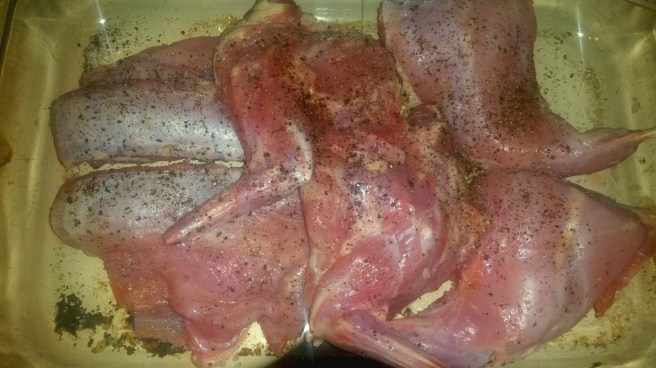 2017-03-20 06.10.17_resized