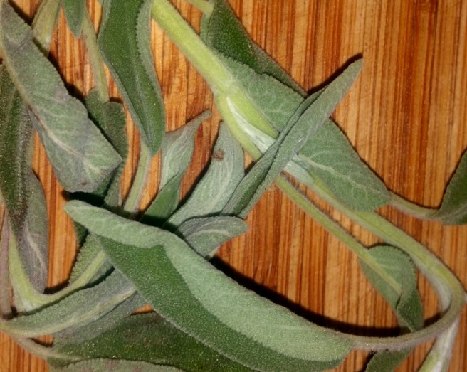 2017-04-09 19.07.32_resized