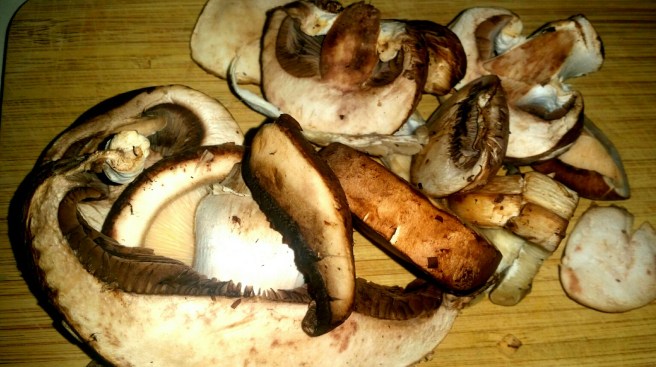 2017-04-23 17.00.44_resized