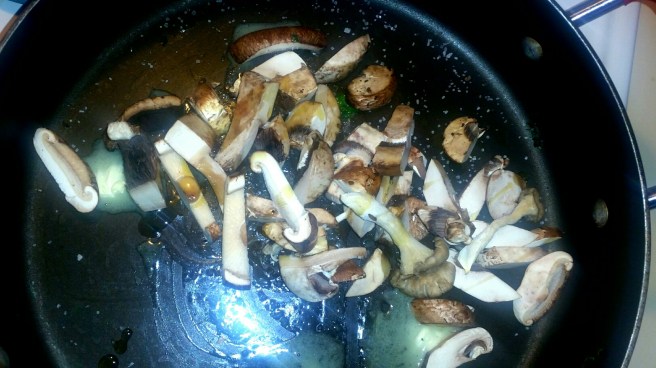 2017-04-23 17.05.32_resized.jpg