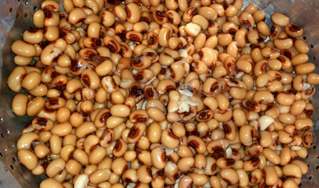 2017-04-30 20.22.38_resized.jpg