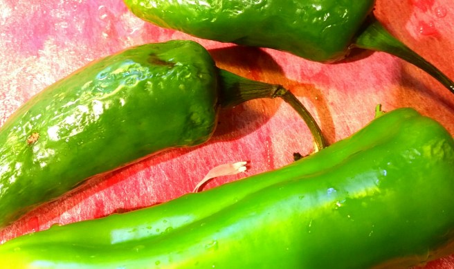 2017-05-22 12.05.50_resized