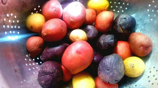 2017-06-19 09.20.44_resized