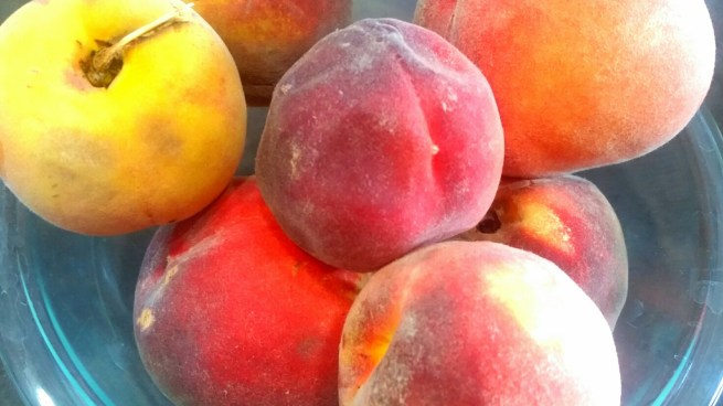 2017-08-21 06.29.28_resized.jpg