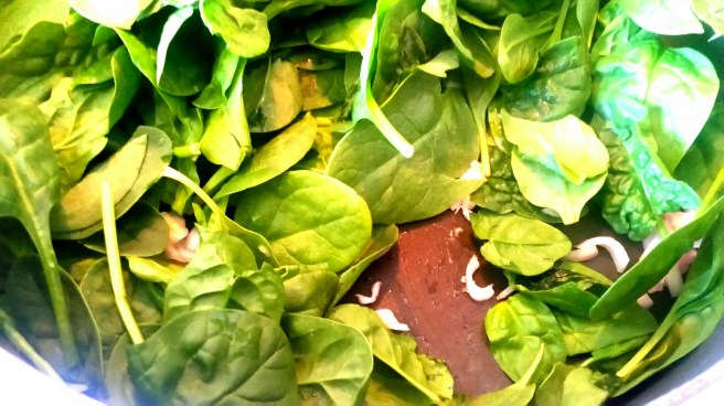 2017-09-10 13.54.56_resized.jpg