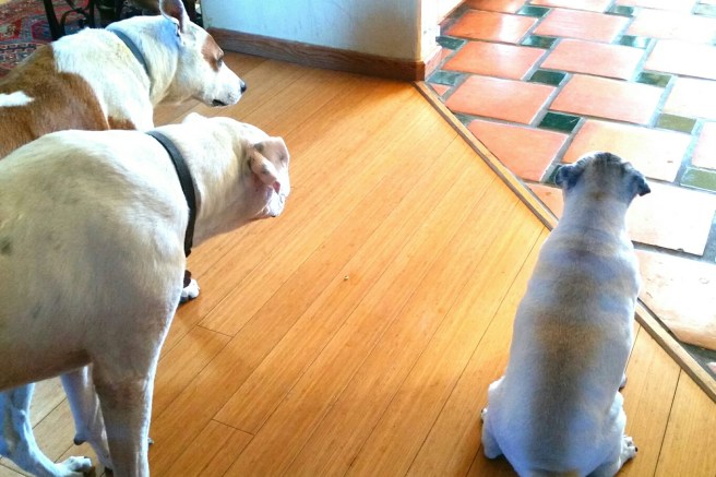 2018-02-19 07.49.47_resized